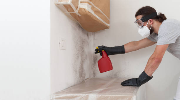Professional Bathroom Mold Removal technician working in Carrollton, TX