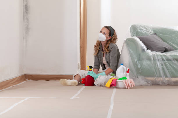 Reliable Bathroom Mold Removal contractor in Carrollton, TX by Mold Remediation HQ
